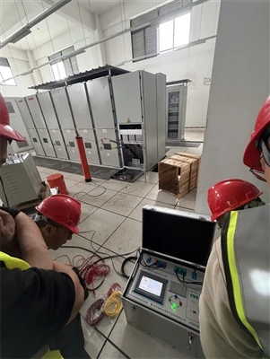 El gerent Li de Goldhome visita la tecnologia Yangjie per a una formació espe...